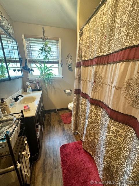 bathroom with toilet, vanity, and wood finished floors