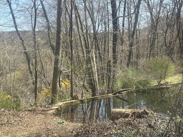 view of nature featuring a view of trees