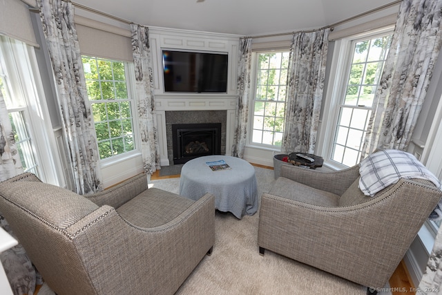 living room featuring plenty of natural light