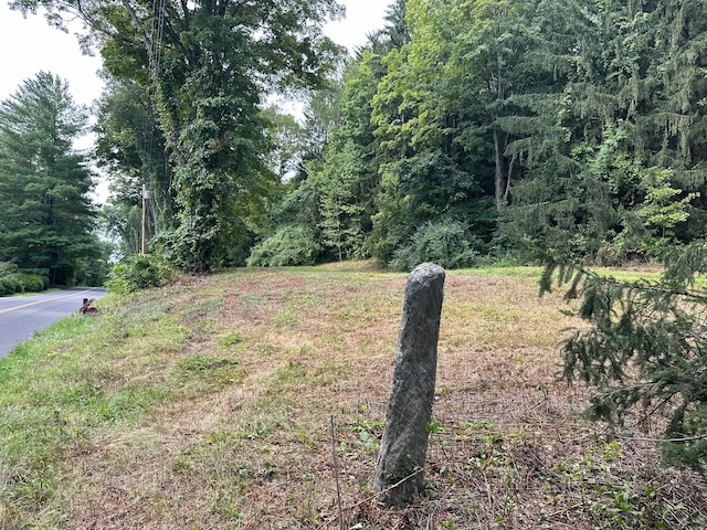 410 Nettleton Hollow Rd, Washington CT, 06793 land for sale