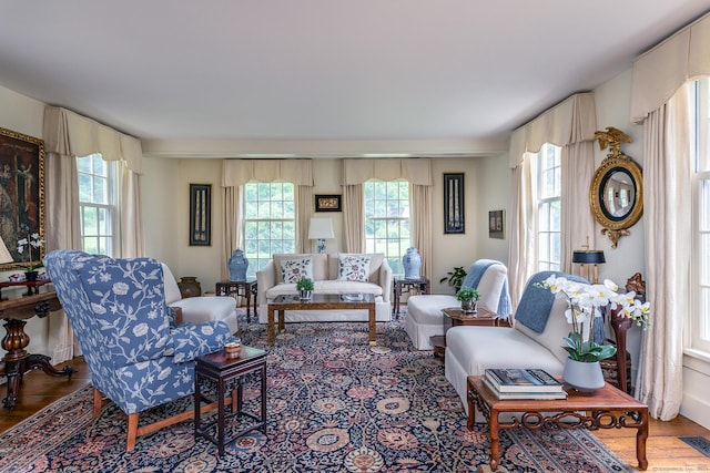 living room featuring hardwood / wood-style flooring and a wealth of natural light