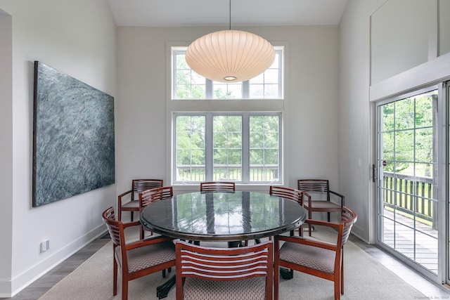 dining space featuring wood finished floors, a healthy amount of sunlight, and baseboards