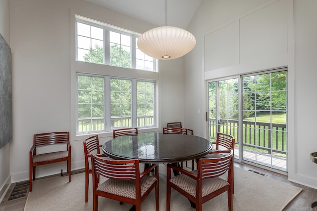 dining room featuring high vaulted ceiling, plenty of natural light, and wood-type flooring