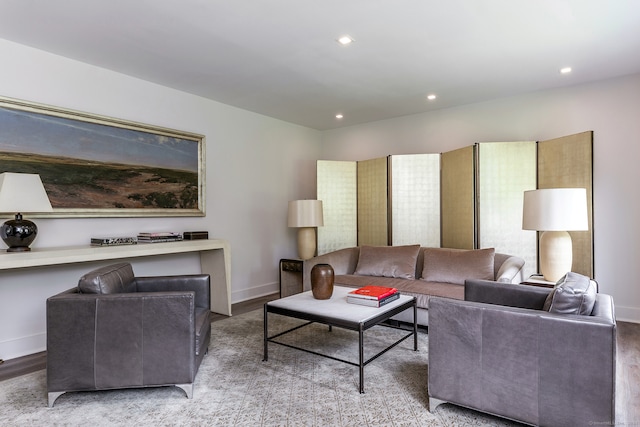 living room with hardwood / wood-style floors