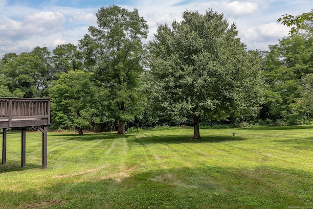 view of yard with a deck