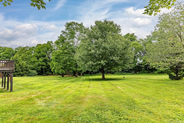 view of yard featuring a wooden deck