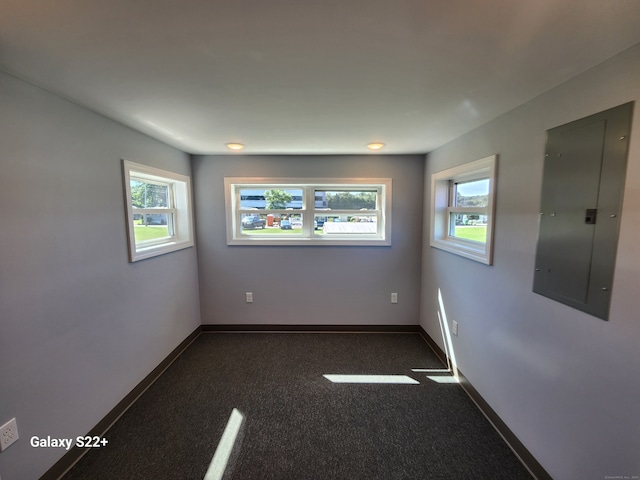 carpeted spare room featuring a wealth of natural light and electric panel