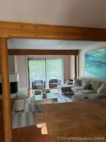 living room featuring wood-type flooring