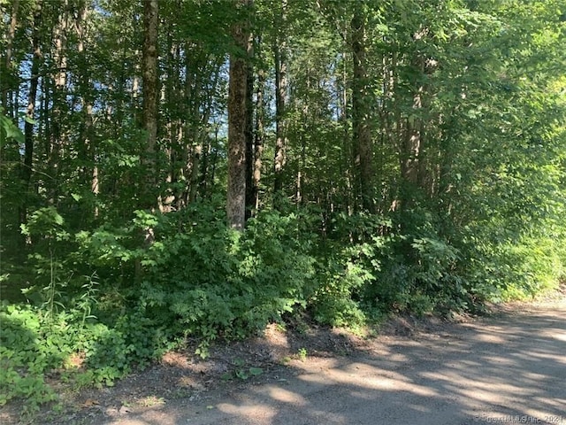 Playground Dr, Woodstock CT, 06281 land for sale