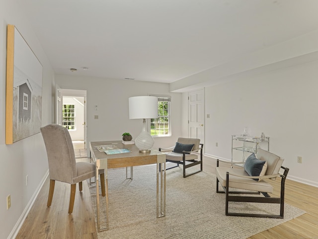 office space featuring light wood-type flooring and plenty of natural light