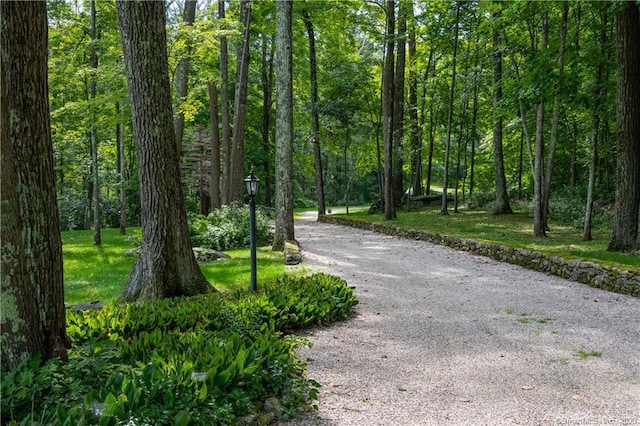 12 W Mountain Rd, Sharon, CT 06069 - view of home's community with driveway and a forest view