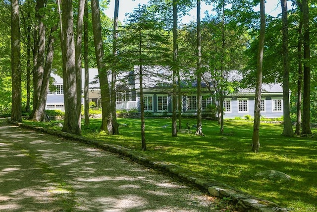 12 W Mountain Rd, Sharon, CT 06069 - view of yard