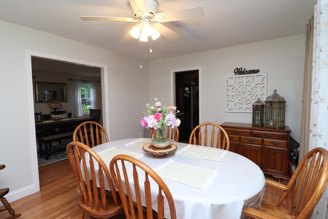 dining area featuring ceiling fan and light hardwood / wood-style flooring