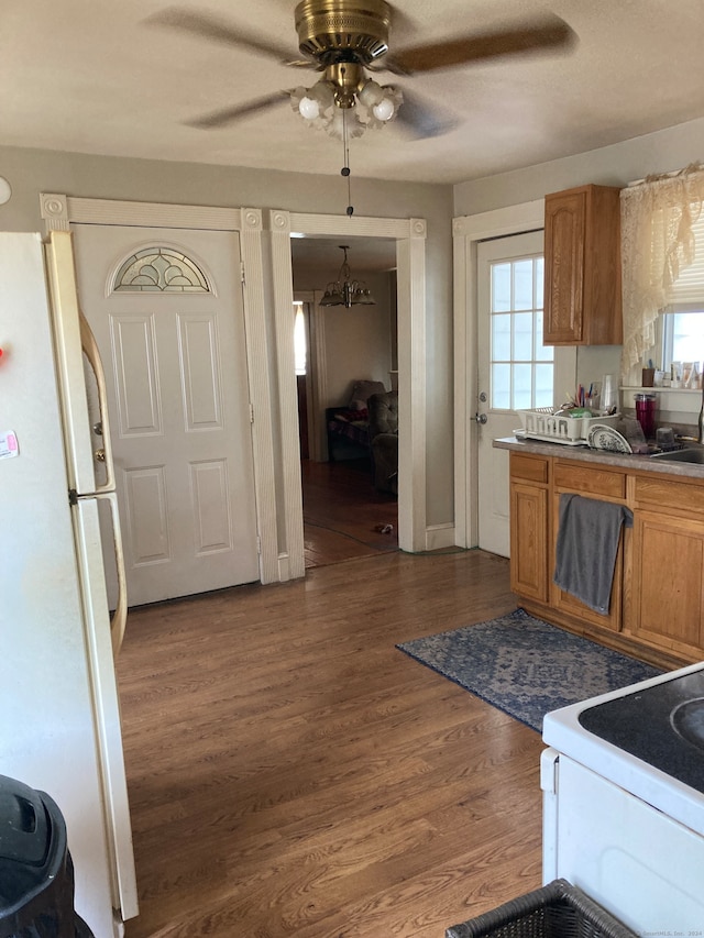 kitchen with dark hardwood / wood-style flooring, plenty of natural light, and white appliances