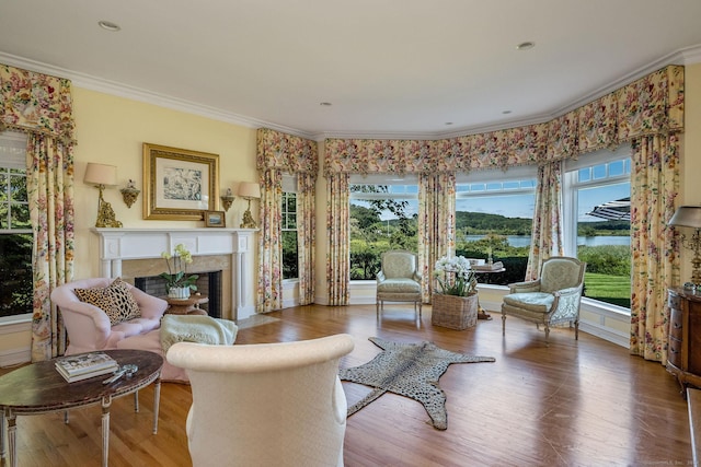 living room with a water view, a healthy amount of sunlight, a premium fireplace, and ornamental molding