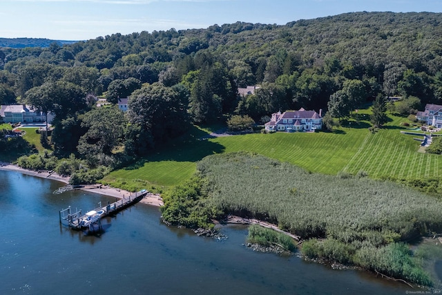 323 River Rd, Deep River, CT 06417 - overview of rural landscape featuring a large body of water and a forest