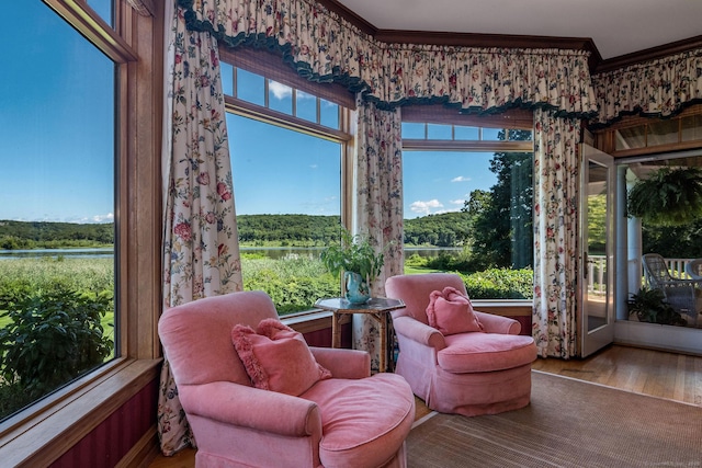 323 River Rd, Deep River, CT 06417 - sunroom with crown molding, a water view, a wealth of natural light, and wood finished floors
