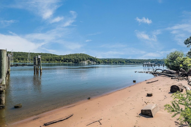 323 River Rd, Deep River, CT 06417 - water view featuring a forest view