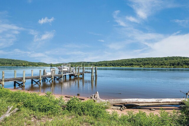 323 River Rd, Deep River, CT 06417 - dock area with a view of trees, a water view, and boat lift