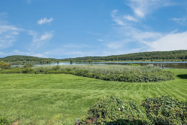 323 River Rd, Deep River, CT 06417 - exterior space