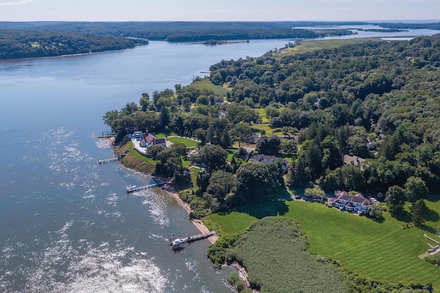 323 River Rd, Deep River, CT 06417 - bird's eye view featuring a water view and a view of trees