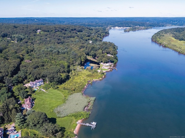 323 River Rd, Deep River, CT 06417 - birds eye view of property featuring a forest view and a water view