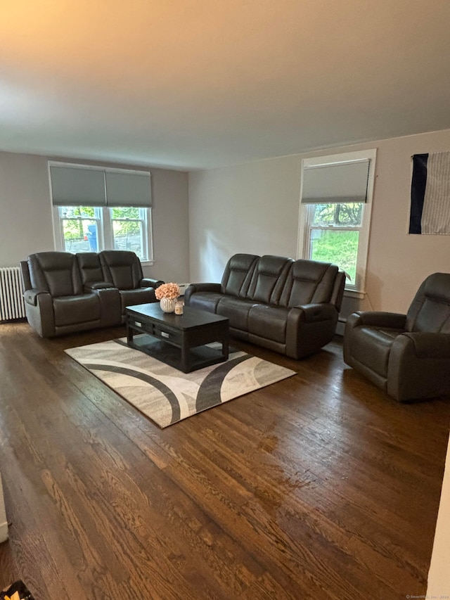 living room featuring dark hardwood / wood-style floors, a healthy amount of sunlight, and radiator