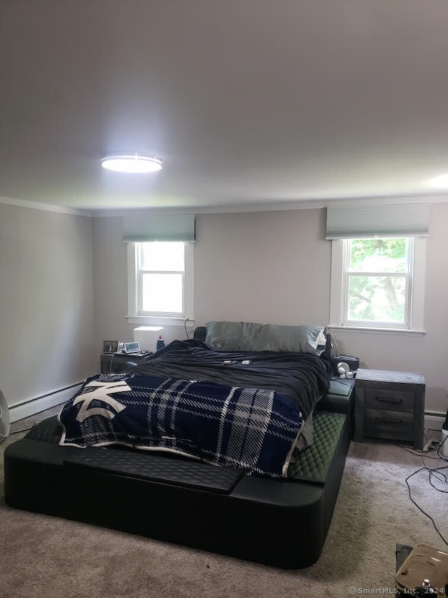 bedroom with carpet flooring and multiple windows