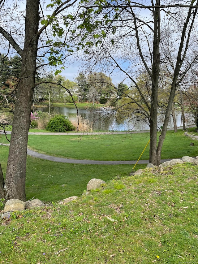 view of property's community with a water view and a lawn