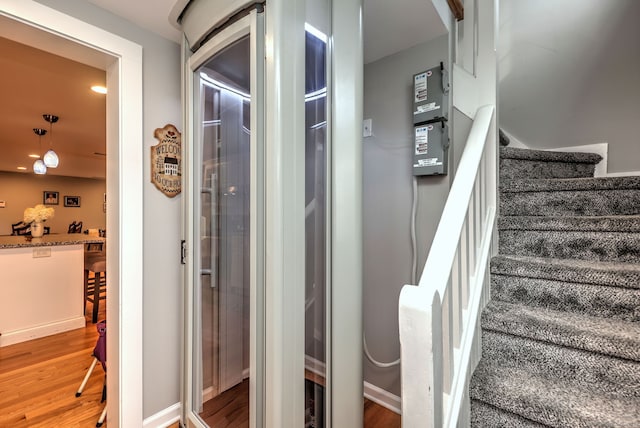 stairway featuring wood-type flooring