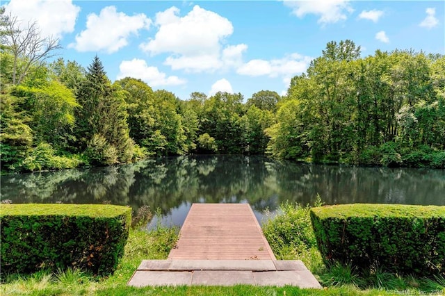 dock area with a water view