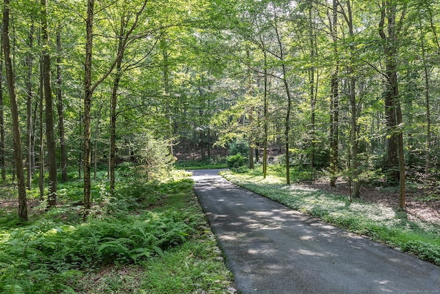 view of street featuring a forest view