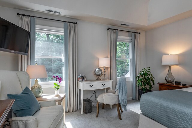 bedroom with carpet and visible vents