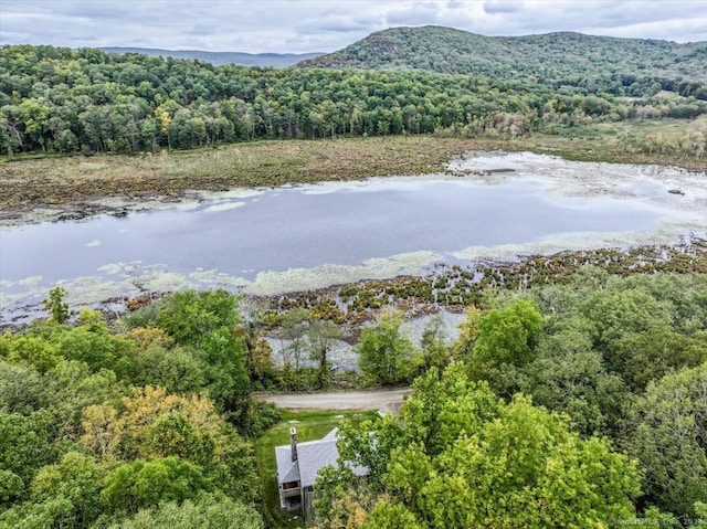 birds eye view of property featuring a water and mountain view