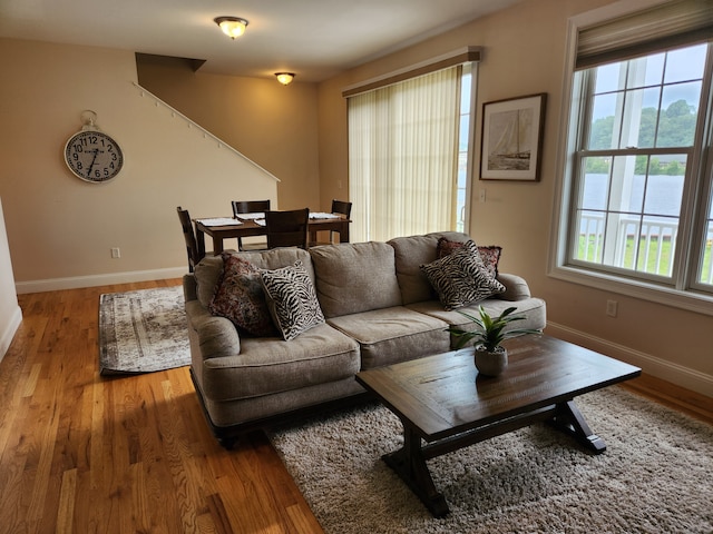 living room with hardwood / wood-style floors