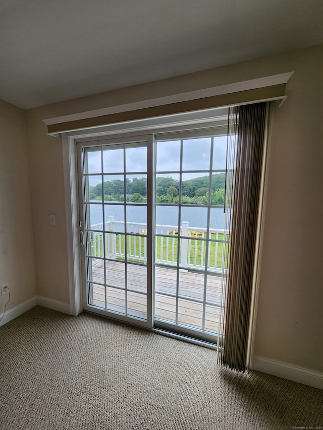 spare room with a water view, carpet flooring, and a wealth of natural light