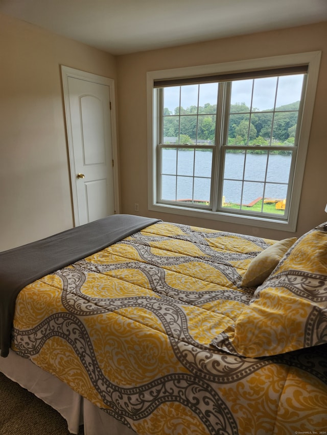 bedroom featuring multiple windows and a water view