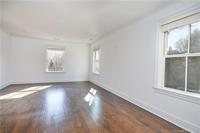 spare room with ornamental molding and dark wood-type flooring