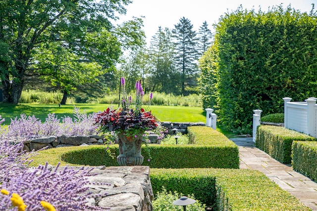 view of property's community with a lawn