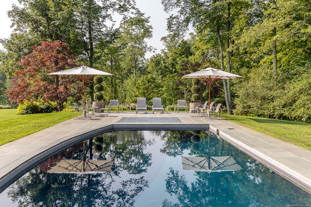 view of swimming pool with a patio area and a yard