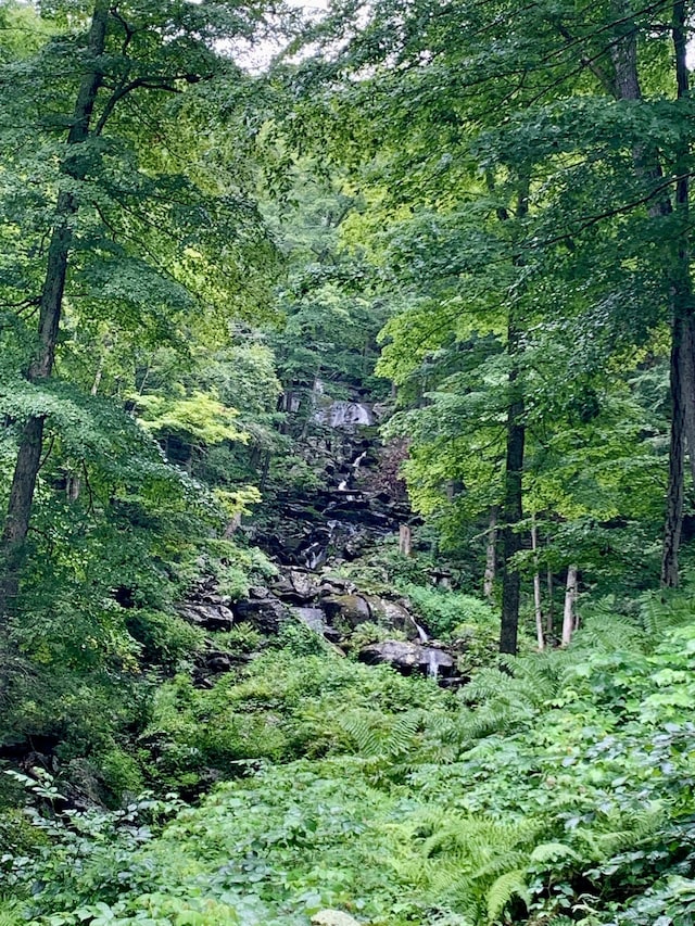 23 Mauwee Brook Way, Kent, CT 06757 - view of woods