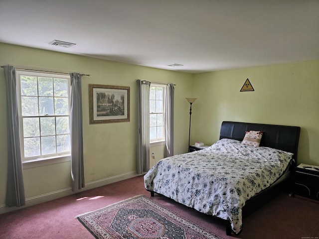 bedroom featuring carpet floors and multiple windows