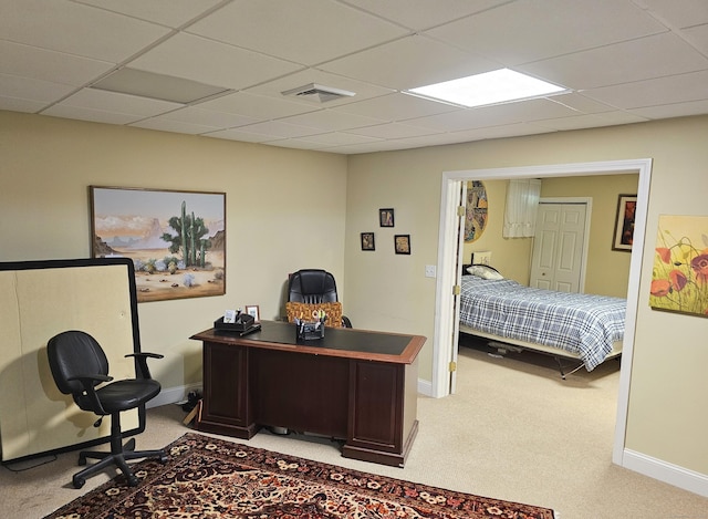 carpeted office with a paneled ceiling