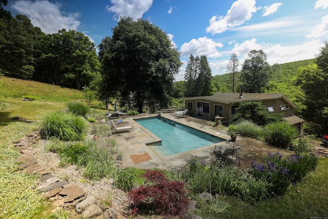 view of pool with a patio area