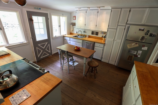 kitchen with white cabinets, stainless steel appliances, dark hardwood / wood-style flooring, and sink