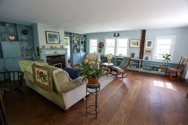 living room featuring wood-type flooring