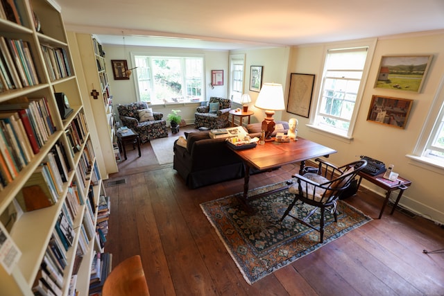 living room with dark wood-type flooring