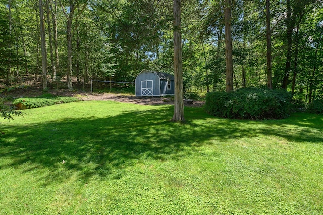 view of yard with a shed