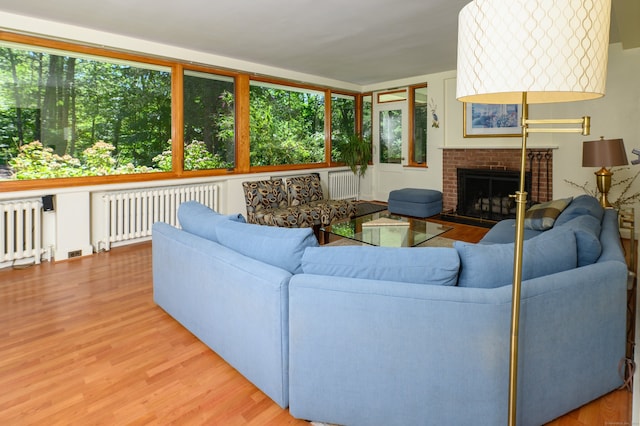 living room featuring a wealth of natural light, radiator heating unit, hardwood / wood-style flooring, and a fireplace