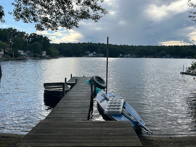 dock area with a water view